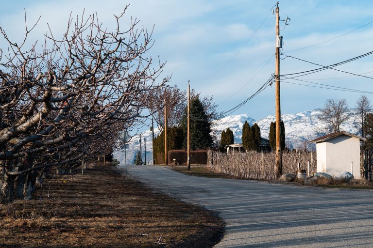 Scenic highway in British Columbia with a lone traveler’s car parked beside the road, symbolizing time spent traveling between casinos for card counting.